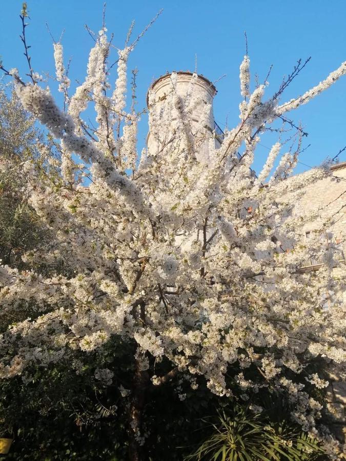 B&B Vicidomini San Marco dei Cavoti Εξωτερικό φωτογραφία